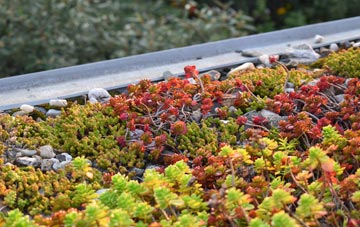 the cost of Midsomer Norton green roof installation
